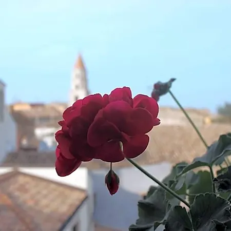 Orazio